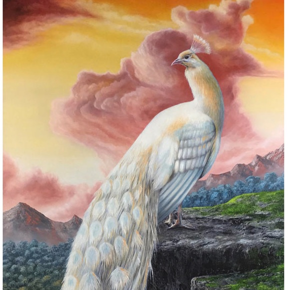 Meet your Posher, Leticia - Picture 1 of 1